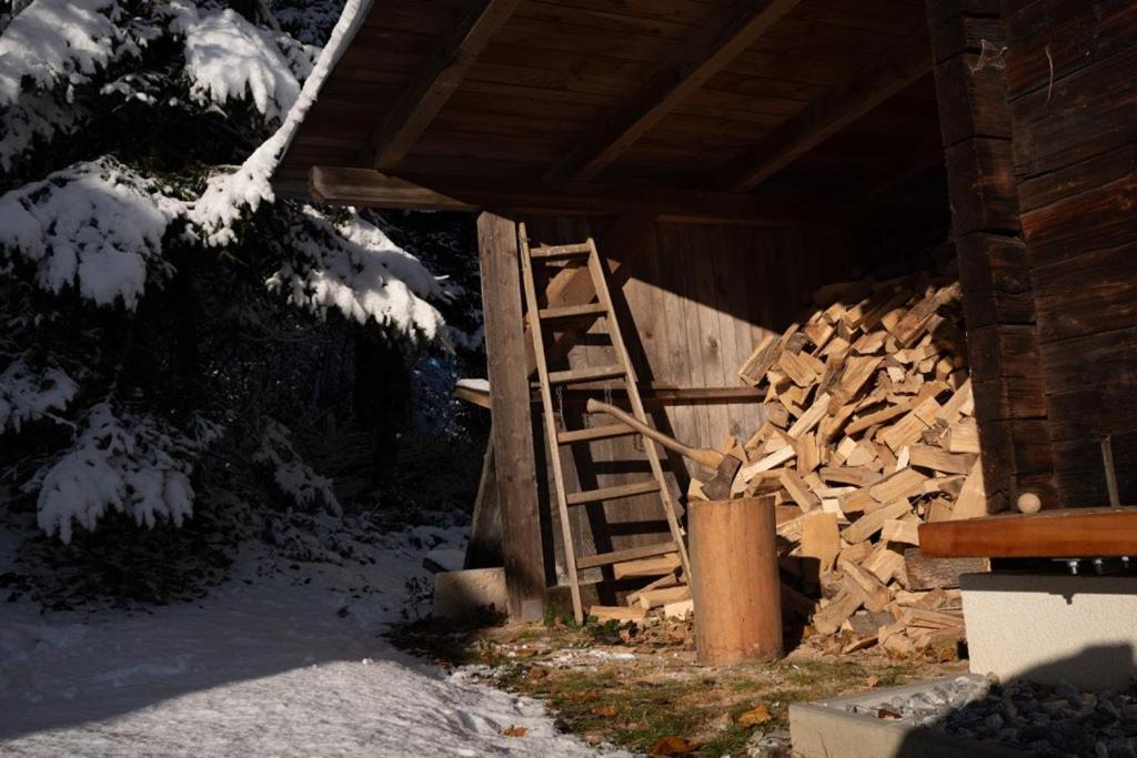 Gregor's Im Wald Holiday home Edelschrott