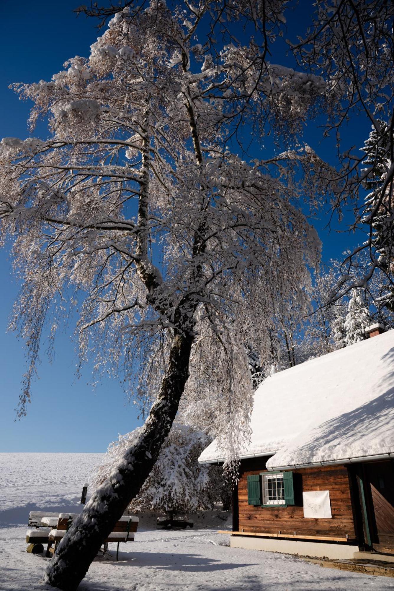 Gregor's Im Wald Holiday home *