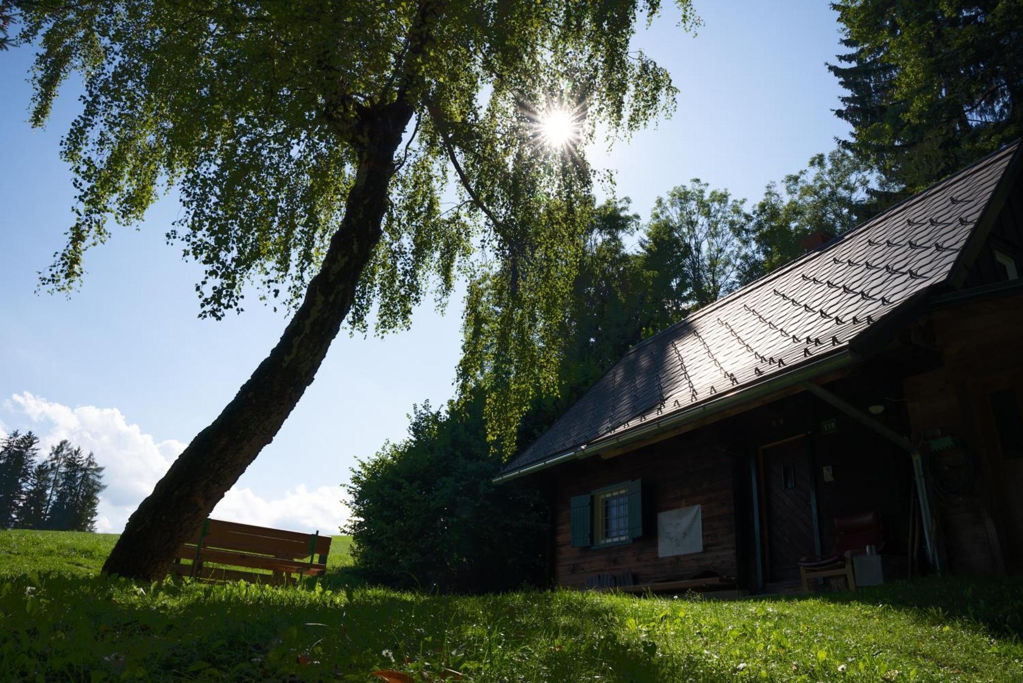 Gregor's Im Wald *